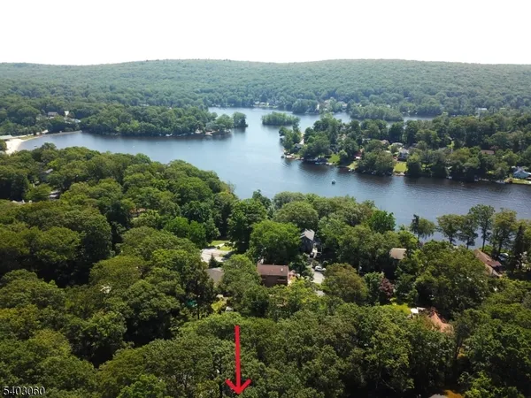 an aerial view of houses covered in trees