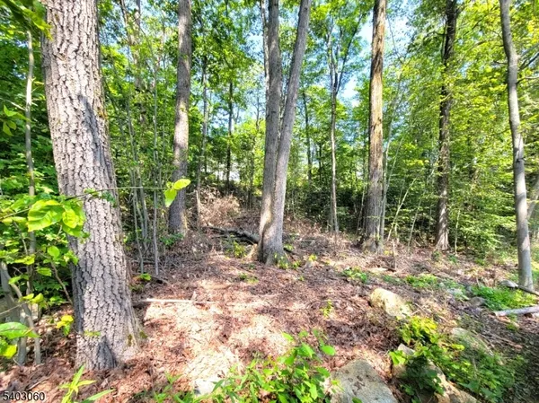 a backyard of a house with lots of green space and chair
