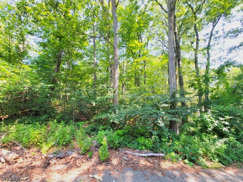 0 Kresson Road Hewitt, NJ 07421 - Photo 3 of 15
