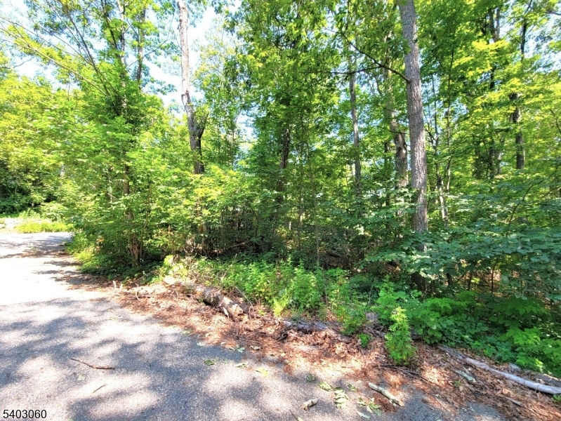 0 Kresson Road Hewitt, NJ 07421 - Photo 5 of 15
