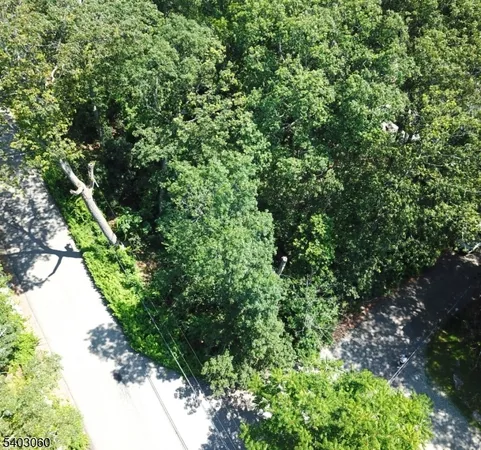 a view of a garden with a tree