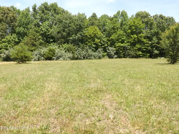 $60,000 | Lot 33 Cromwell Street, Harrogate, TN 37752