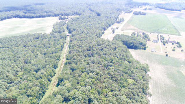 0 State Forest Road Georgetown, DE 19947 - Photo 5 of 6 Gallery Image 5