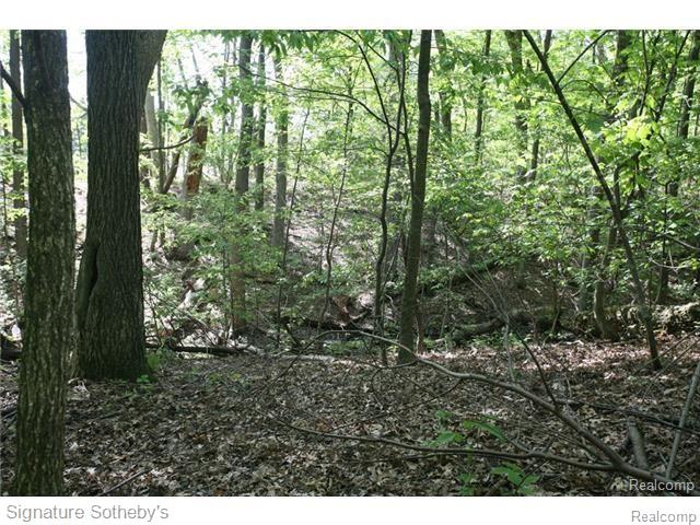 8630 Knox Road Clarkston, MI 48348 - Photo 5 of 13 6.jpg