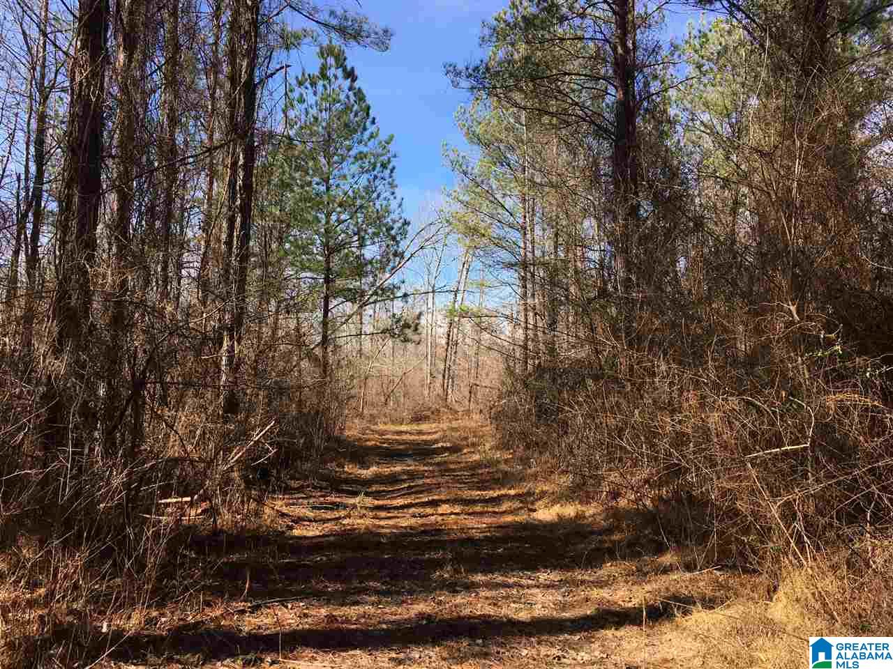 0 Shoal Creek Road, Unit 10 AC Ashville, AL 35953 - Photo 11 of 13