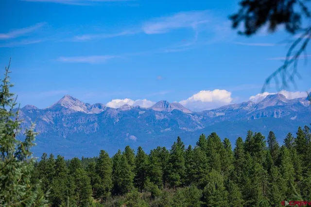 a view of house with yard and trees in the background