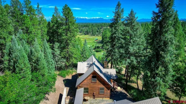 a view of a bench in a garden