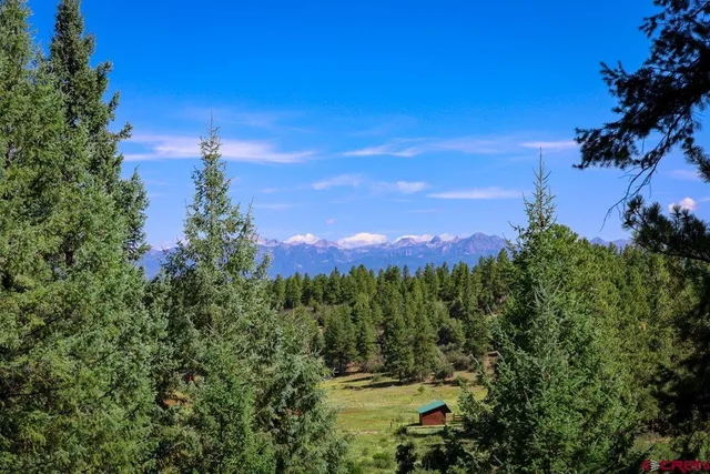 a view of a city with lush green forest