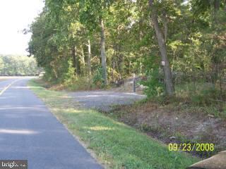 0 Hawkey Road Rhodesdale, MD 21835 - Photo 1 of 2 a view of a yard with plants and trees