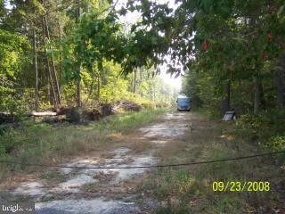 0 Hawkey Road Rhodesdale, MD 21835 - Photo 2 of 2