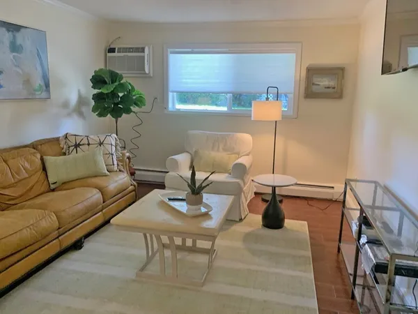 a living room with furniture and a potted plant