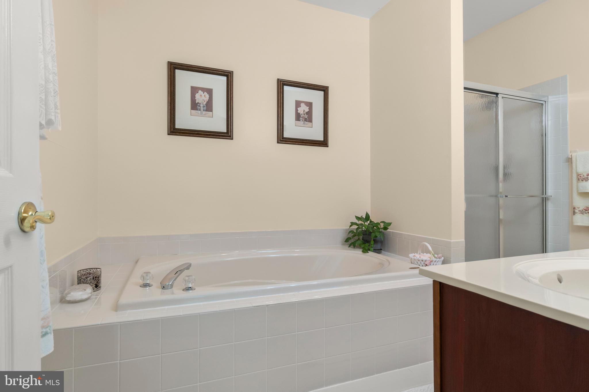 9 Dutchess Court Southampton, NJ 08088 - Photo 13 of 18 Primary bath with spa tub