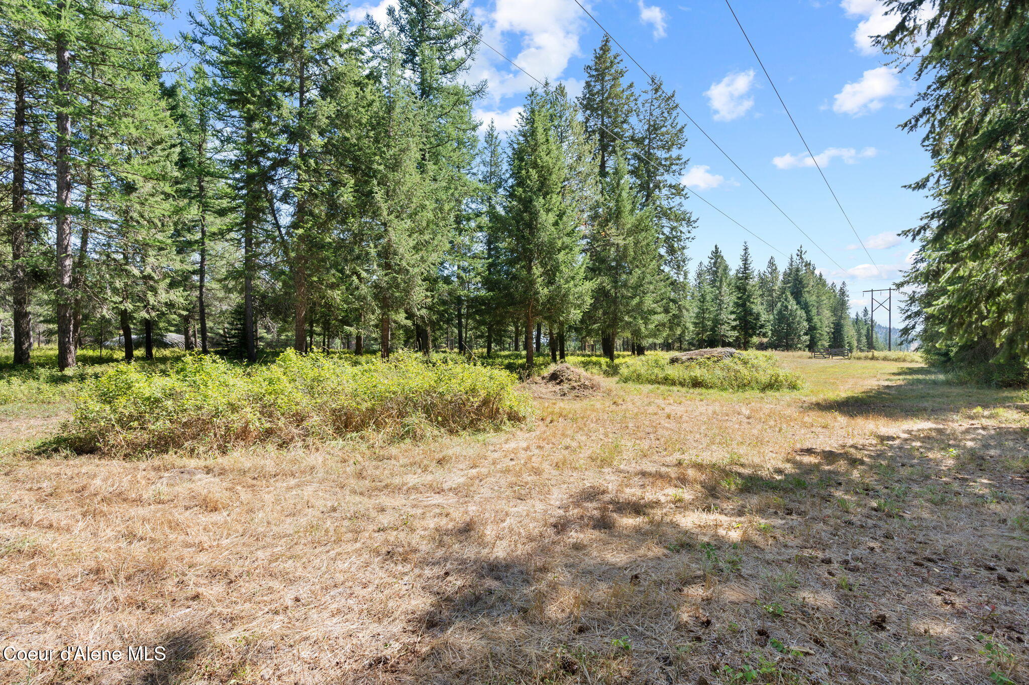 3470 West Seasons Road Rathdrum, ID 83858 - Photo 50 of 67 Inside-Spokane-Seasons-50