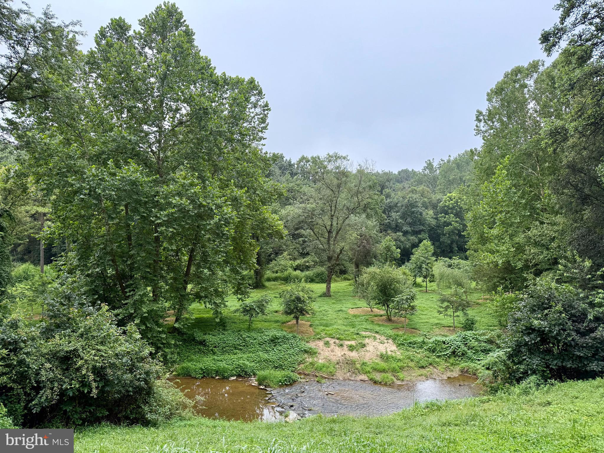160 Fairview Road Kirkwood, PA 17536 - Photo 64 of 81 a view of a lush green forest