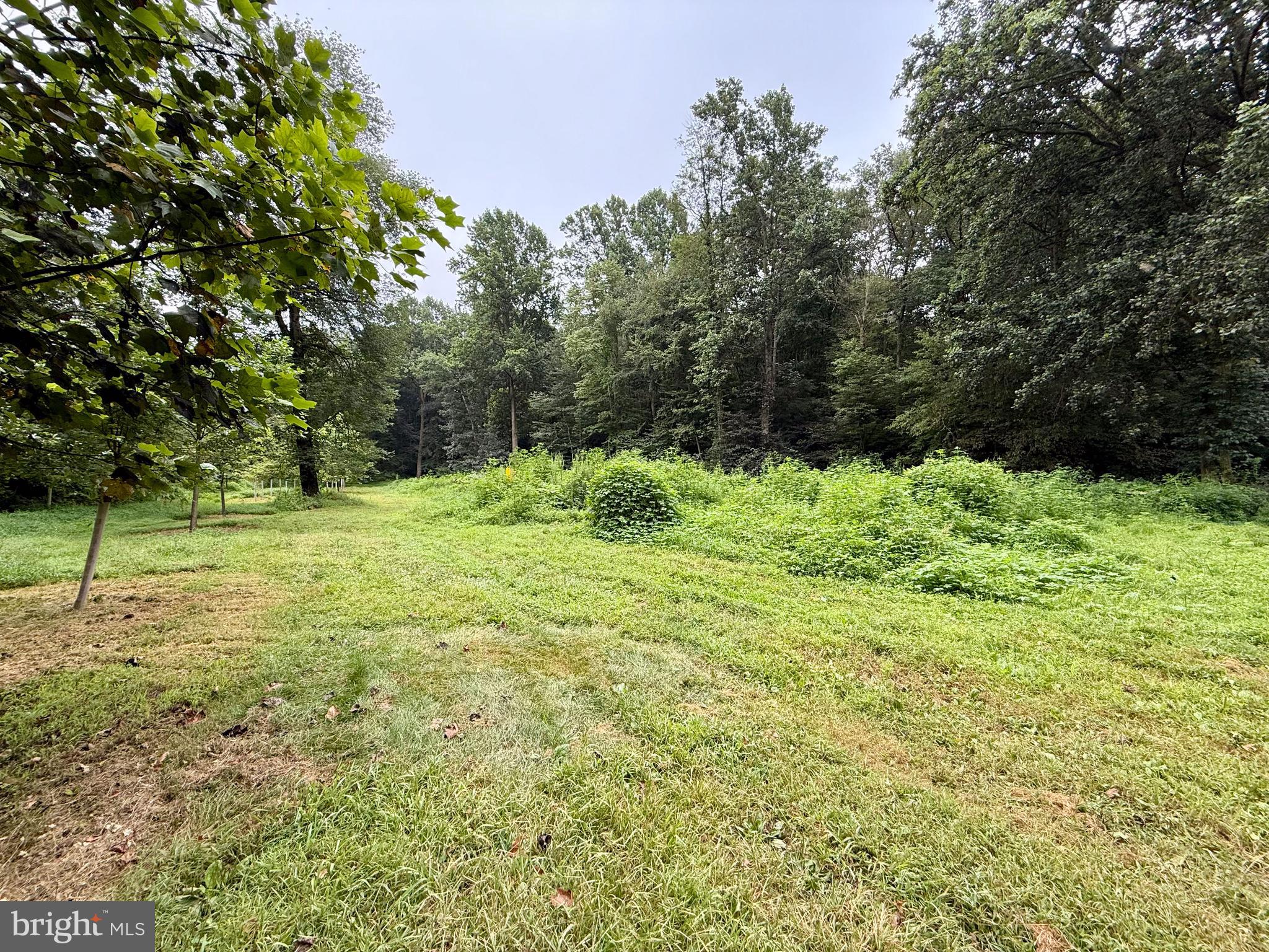 160 Fairview Road Kirkwood, PA 17536 - Photo 66 of 81 a backyard of a house with lots of green space