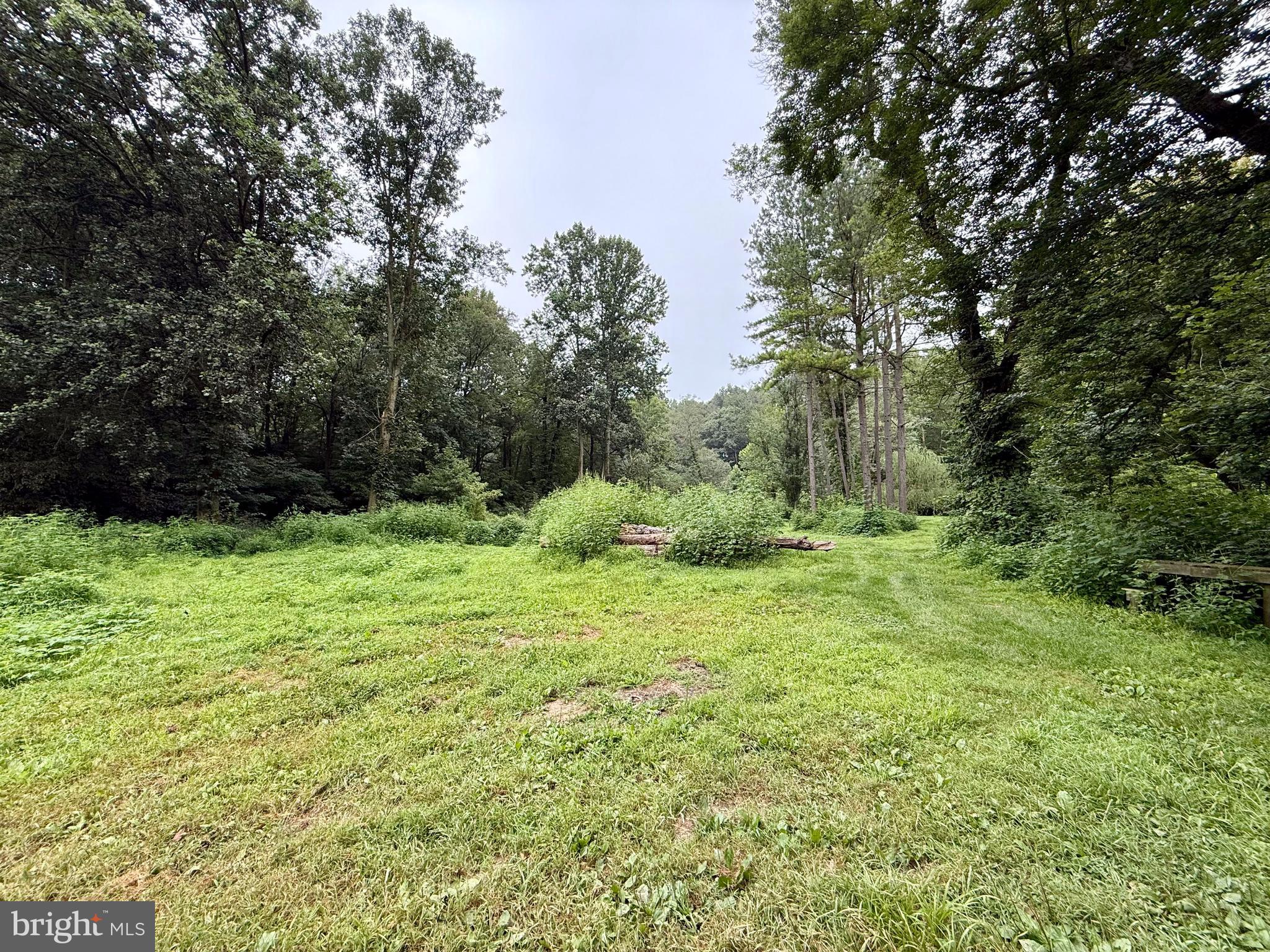 160 Fairview Road Kirkwood, PA 17536 - Photo 67 of 81 a view of outdoor space and yard