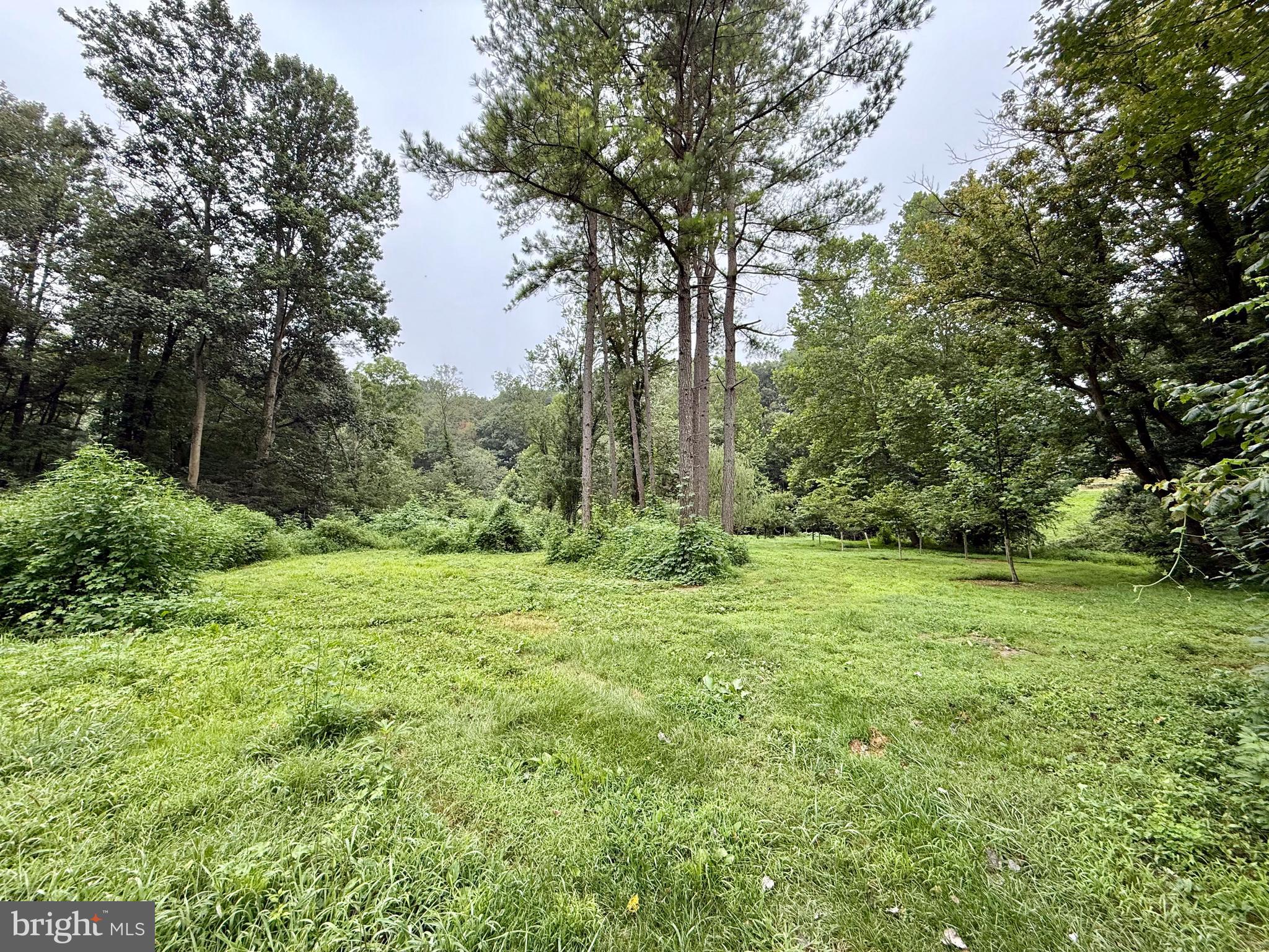 160 Fairview Road Kirkwood, PA 17536 - Photo 68 of 81 a view of outdoor space and yard