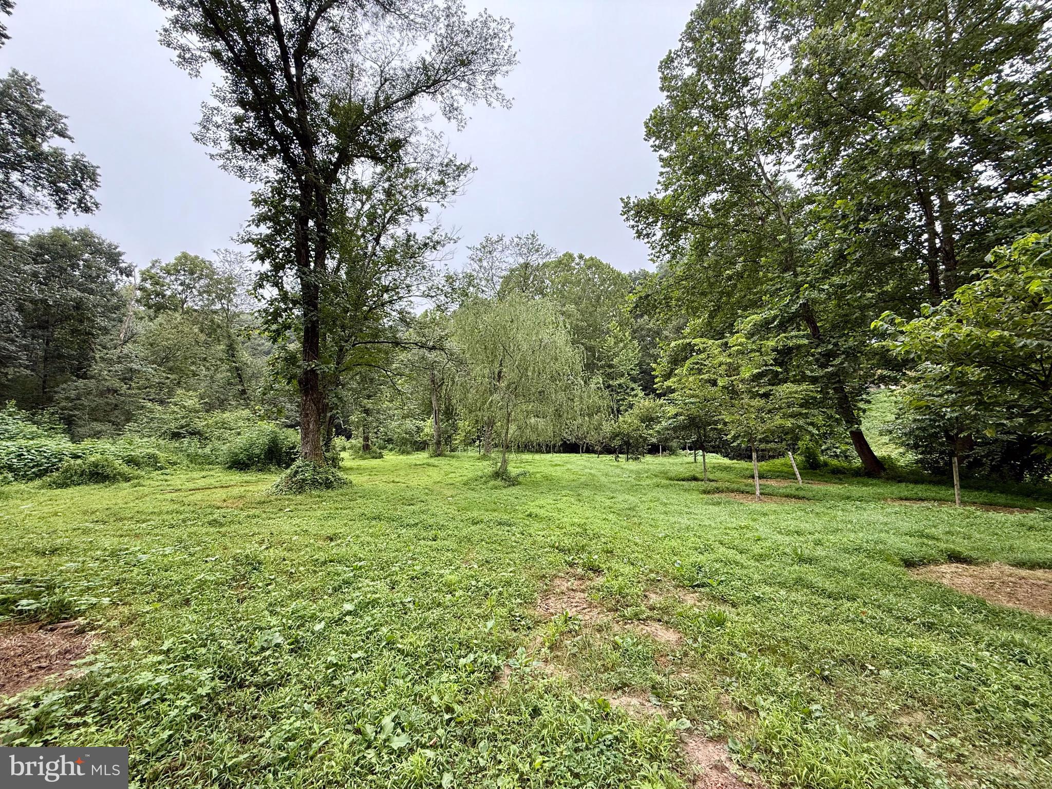 160 Fairview Road Kirkwood, PA 17536 - Photo 69 of 81 a view of outdoor space and yard