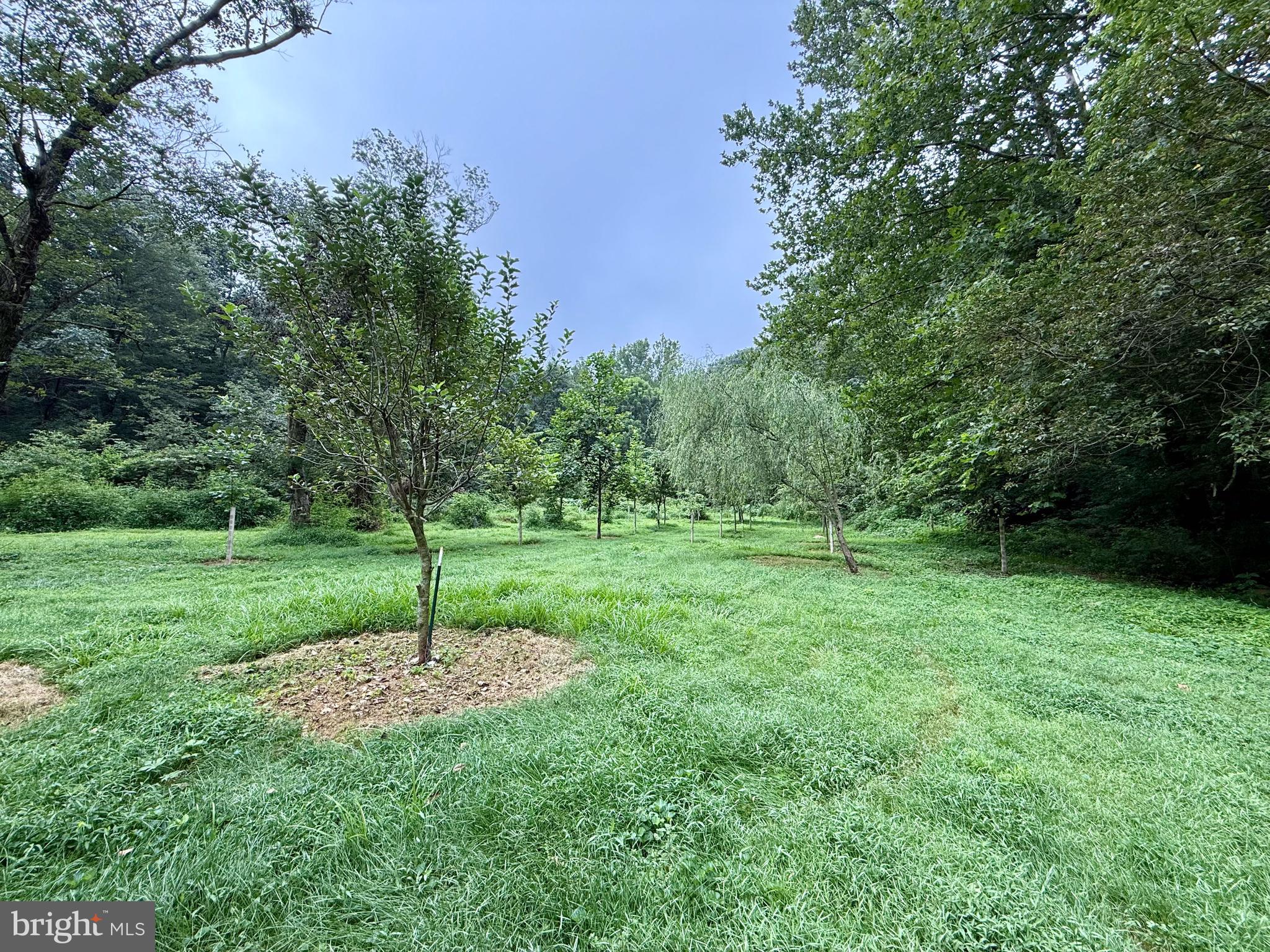 160 Fairview Road Kirkwood, PA 17536 - Photo 71 of 81
