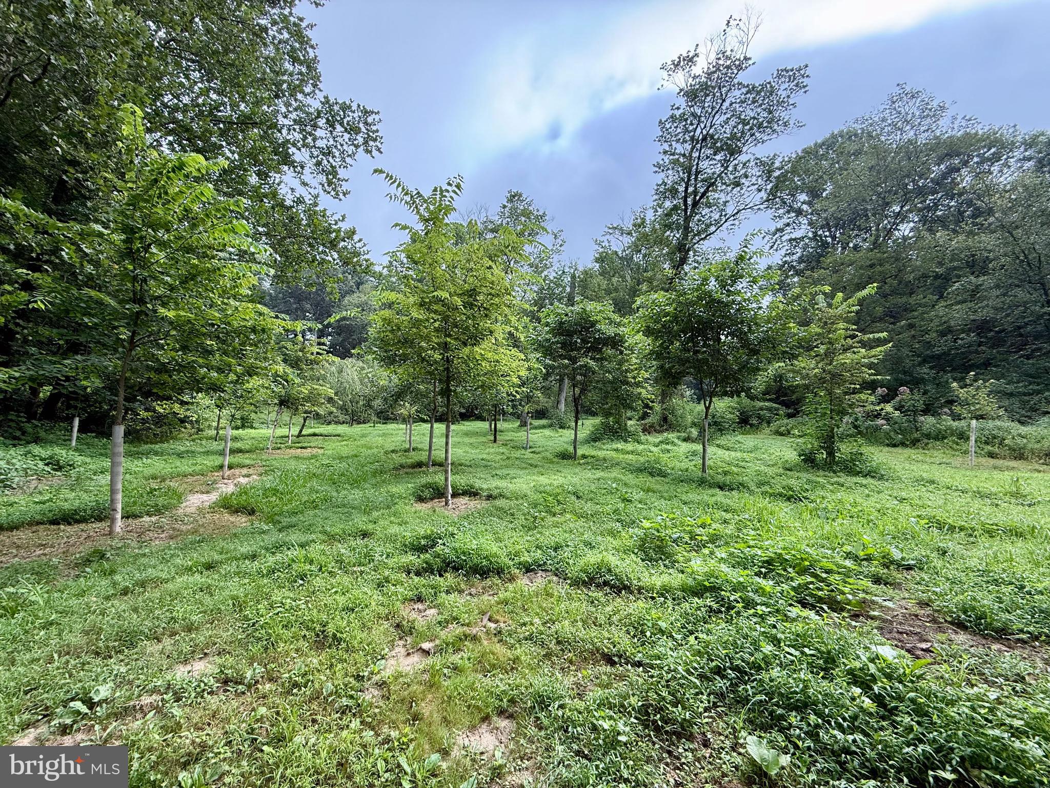 160 Fairview Road Kirkwood, PA 17536 - Photo 74 of 81 a view of a green field with lots of bushes