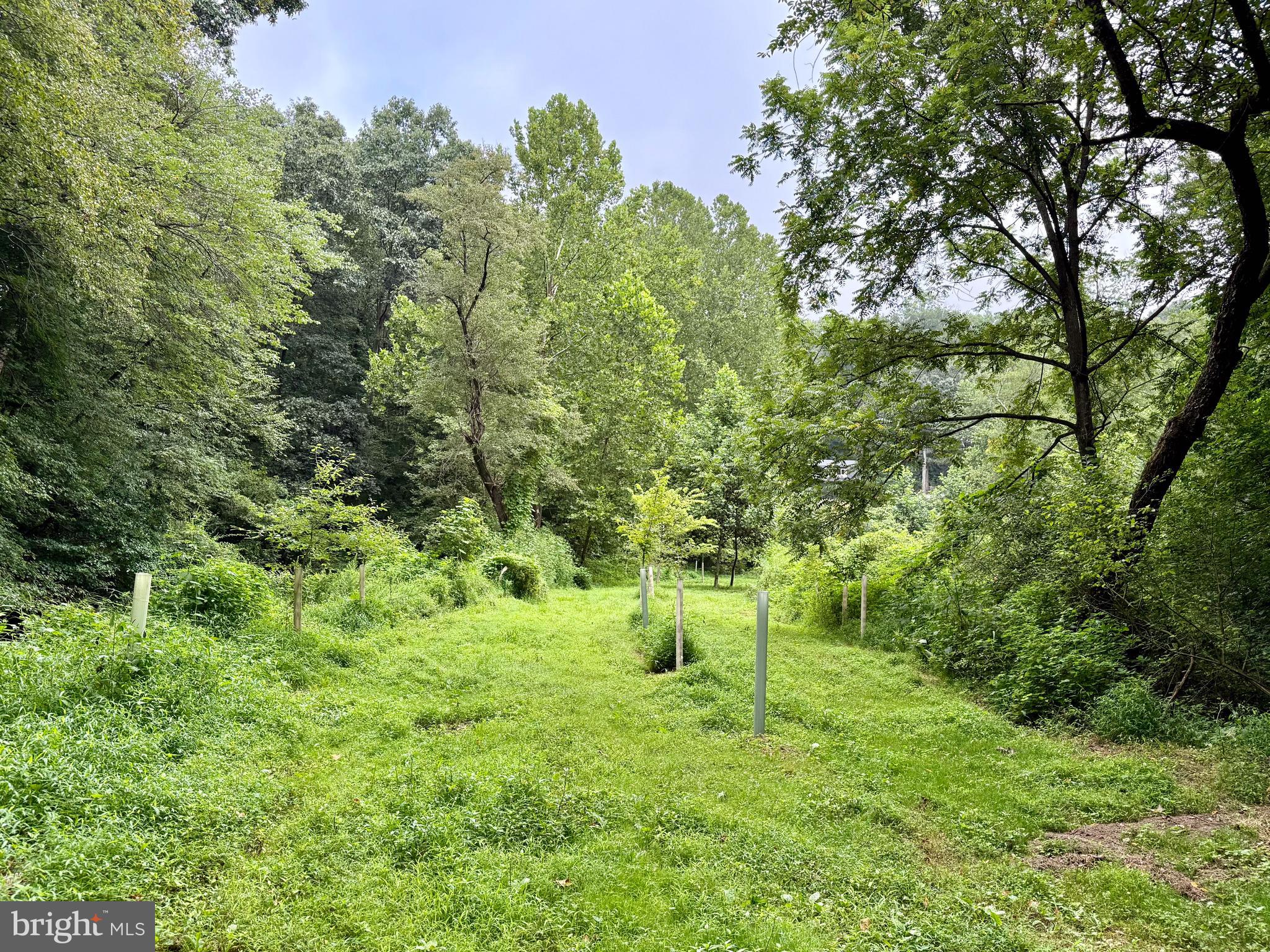 160 Fairview Road Kirkwood, PA 17536 - Photo 75 of 81
