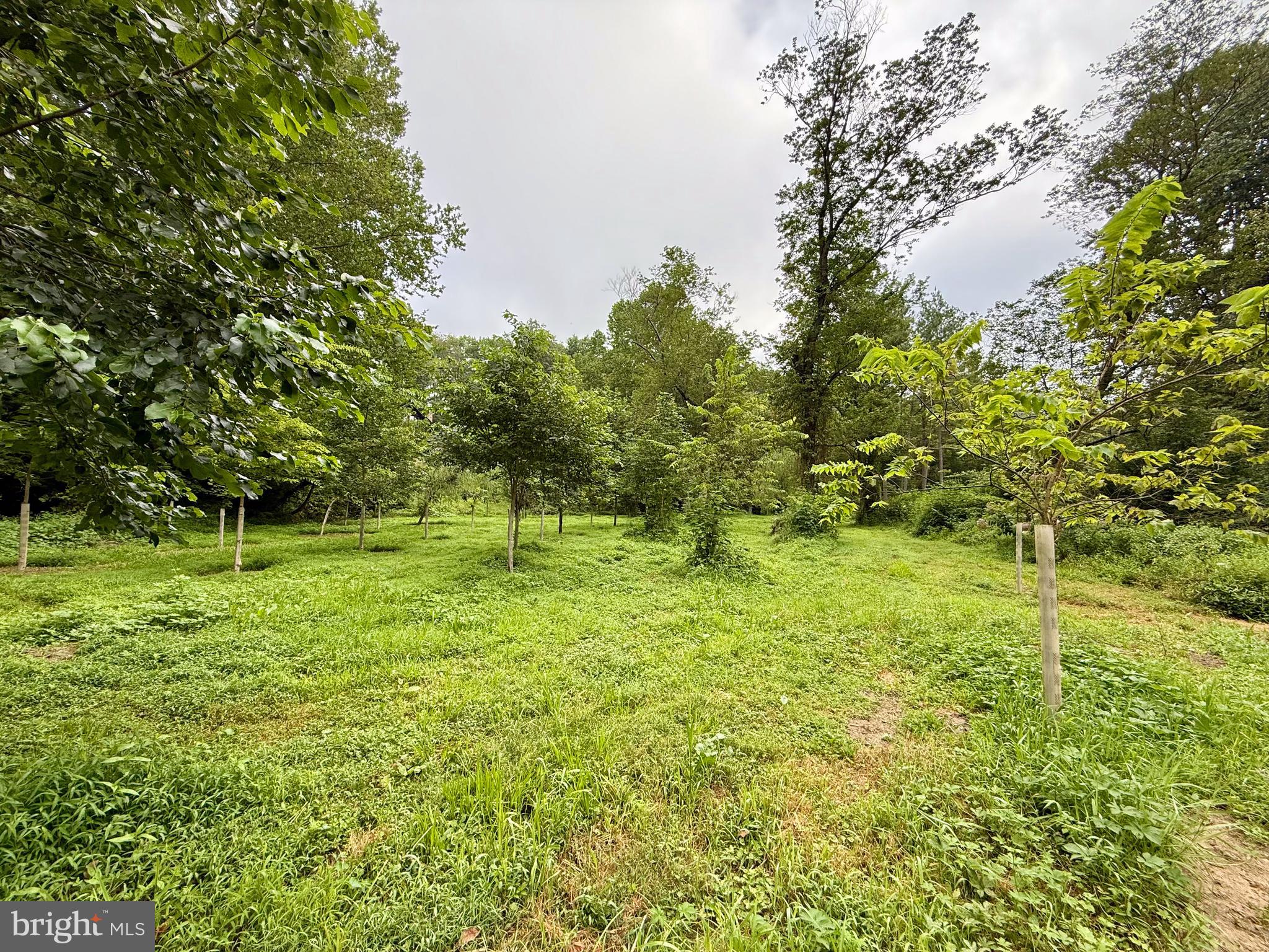 160 Fairview Road Kirkwood, PA 17536 - Photo 76 of 81