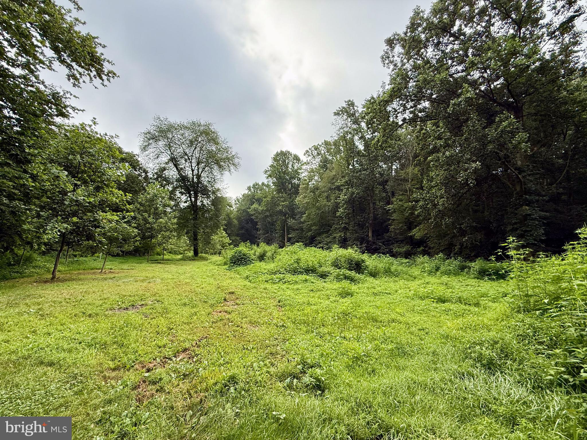 160 Fairview Road Kirkwood, PA 17536 - Photo 78 of 81 a view of outdoor space with trees all around