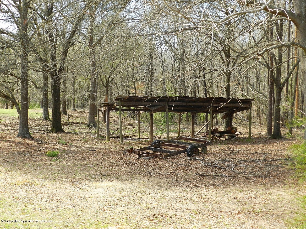 1355 Boldo Road Jasper, AL 35504 - Photo 19 of 20 Gallery Image 19