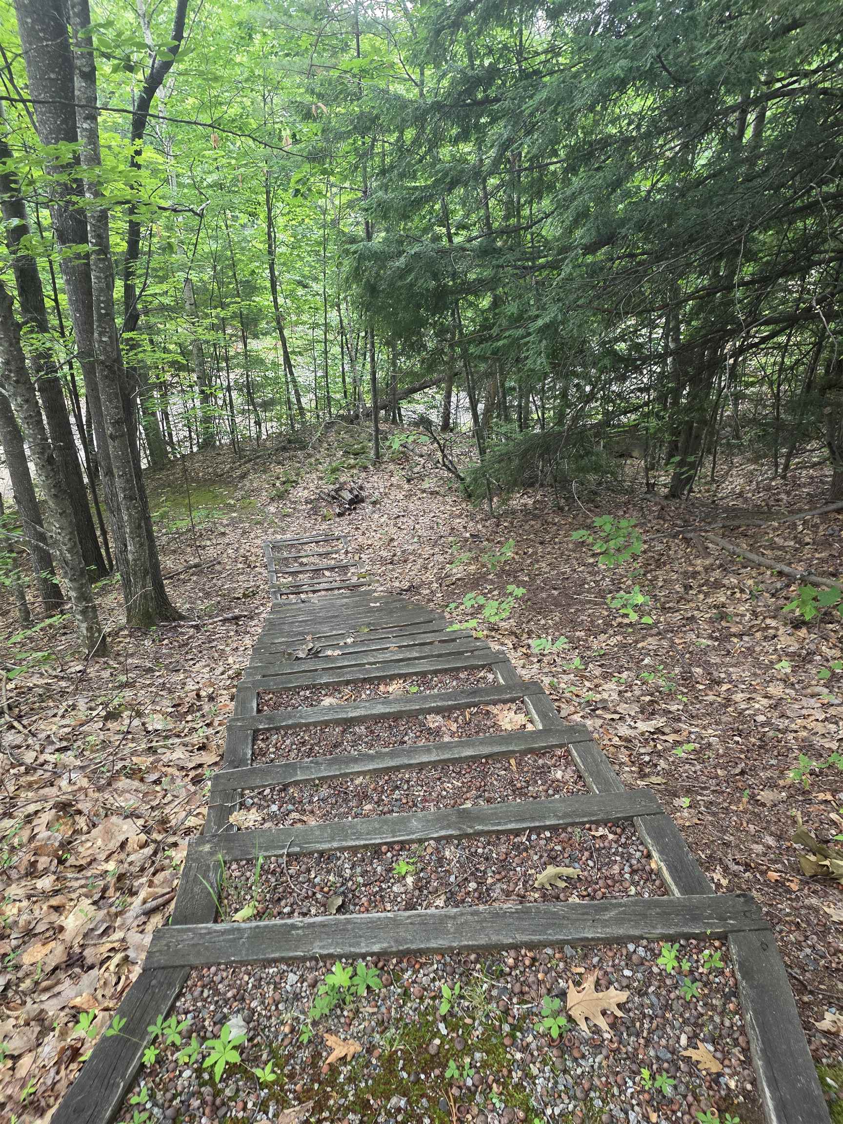 113 Bell Valley Road Campton, NH 03223 - Photo 7 of 31