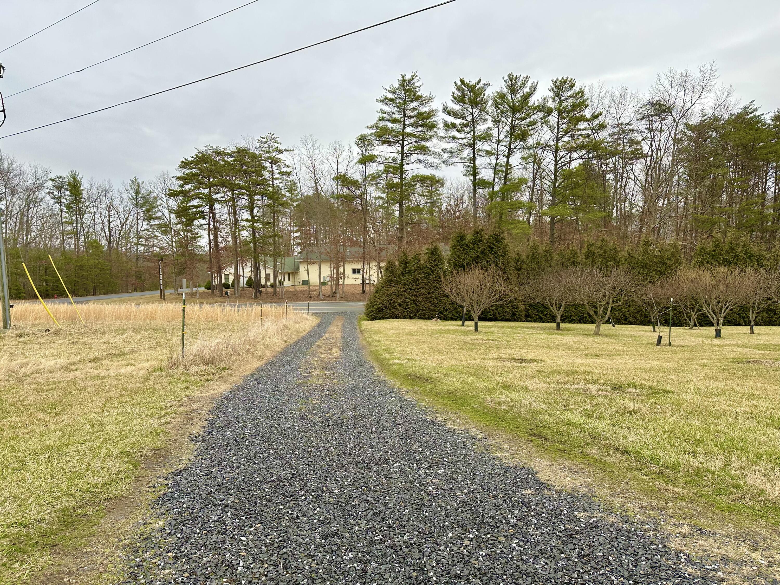 521 TC Walker Road Millboro, VA 24460 - Photo 13 of 78 IMG_E6704