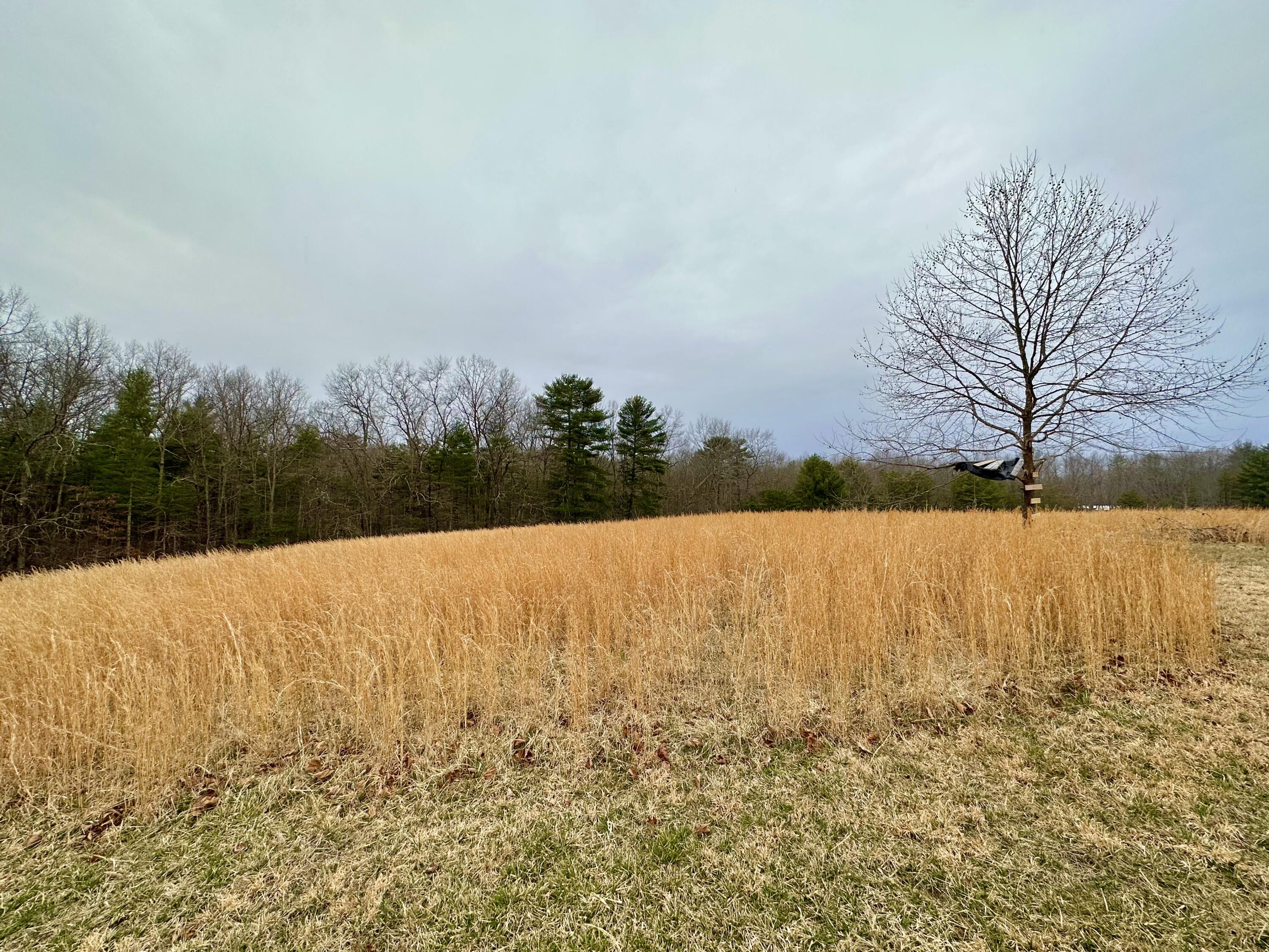 521 TC Walker Road Millboro, VA 24460 - Photo 14 of 78 IMG_E6702