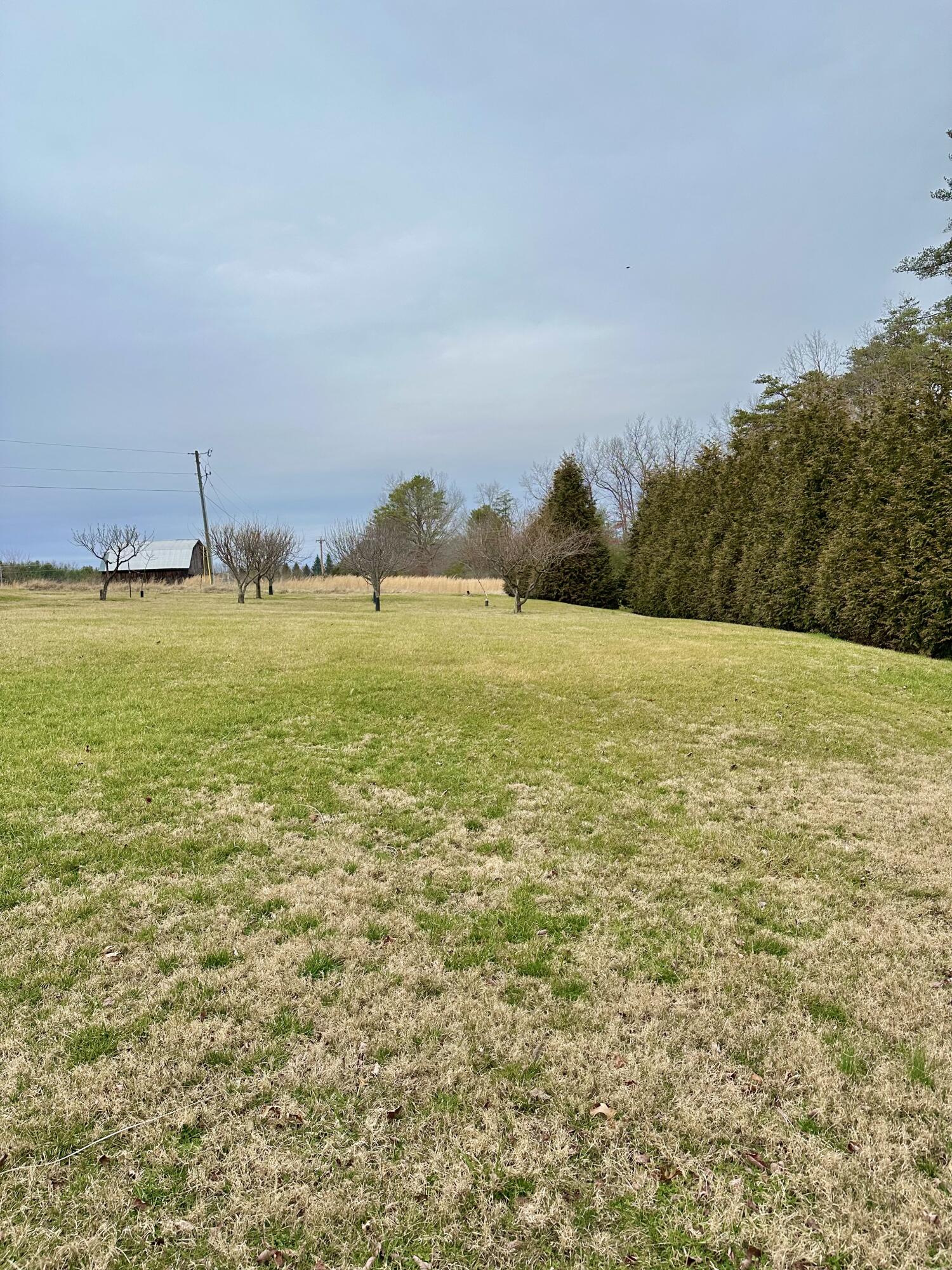 521 TC Walker Road Millboro, VA 24460 - Photo 17 of 78 IMG_E6697