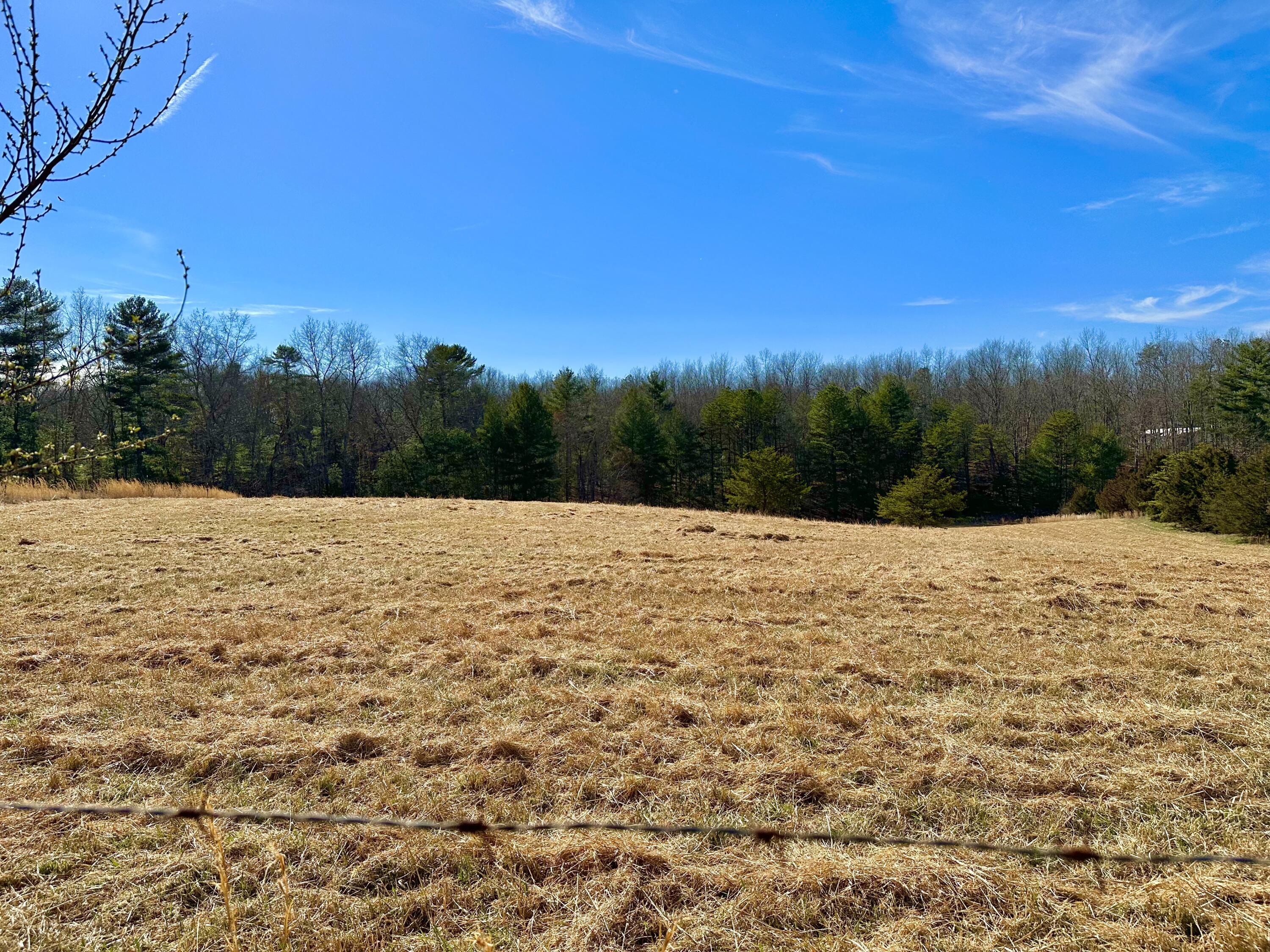 521 TC Walker Road Millboro, VA 24460 - Photo 66 of 78 C04C041B-6A28-4927-A646-63126543A327