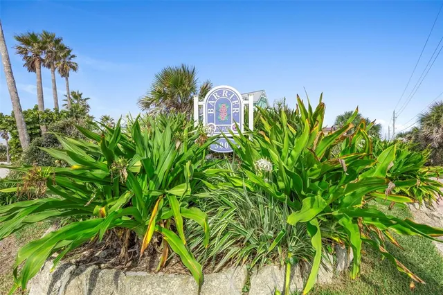 a view of a flower in a garden