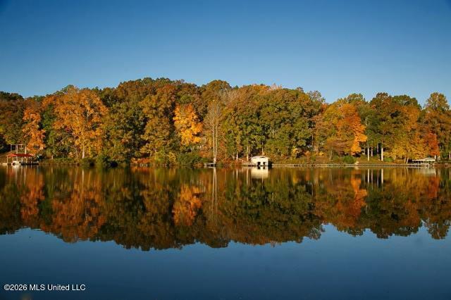180 Red Oak Road Ashland, MS 38603 - Photo 24 of 33 Lake
