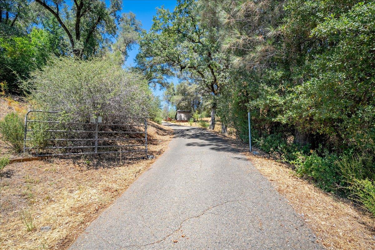 3005 Buckboard Road Placerville, CA 95667 - Photo 63 of 82