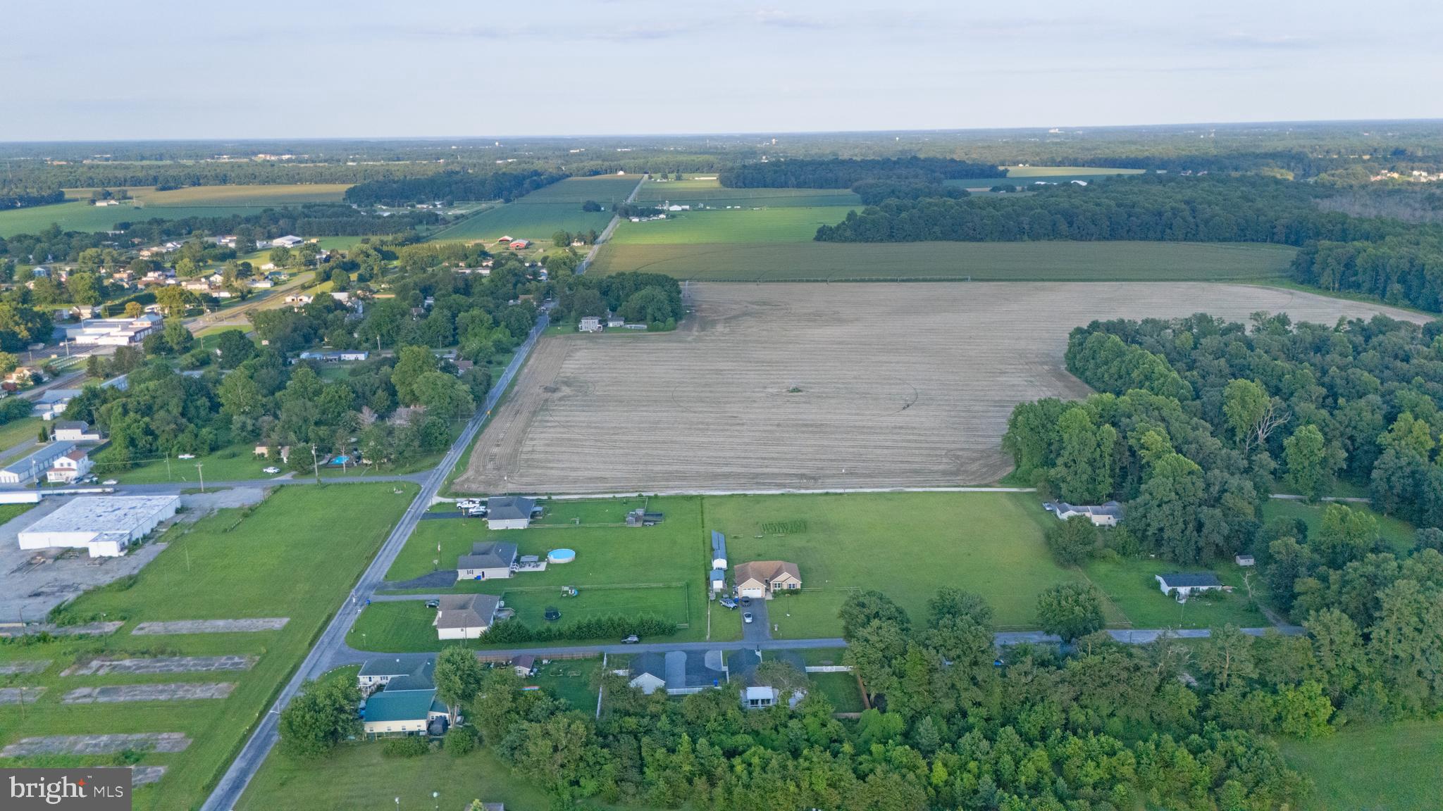 54 Minner Street Houston, DE 19954 - Photo 49 of 55 an aerial view of green landscape with trees houses and lake view