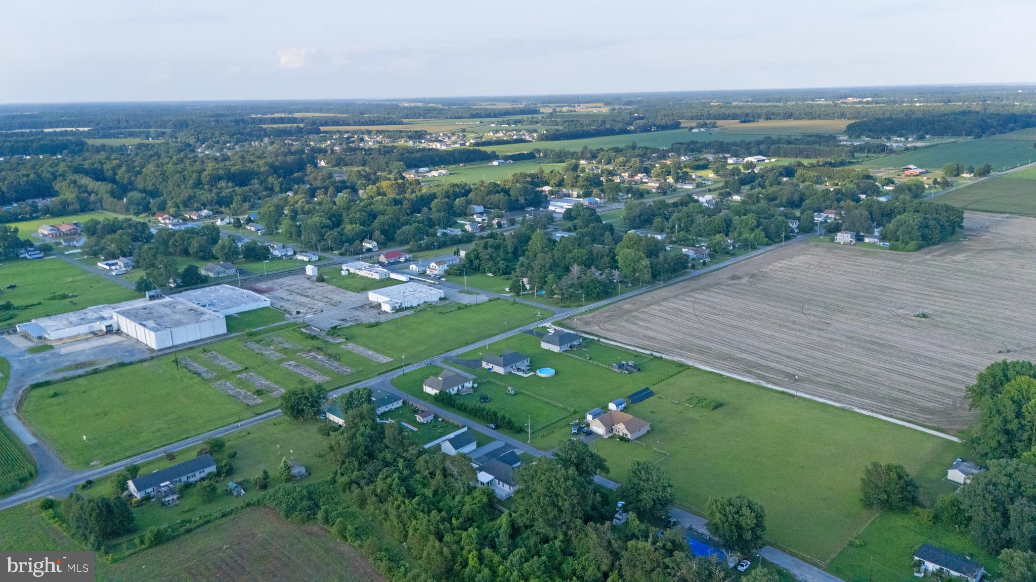 54 Minner Street Houston, DE 19954 - Photo 50 of 55 an aerial view of green landscape with trees houses and mountain view