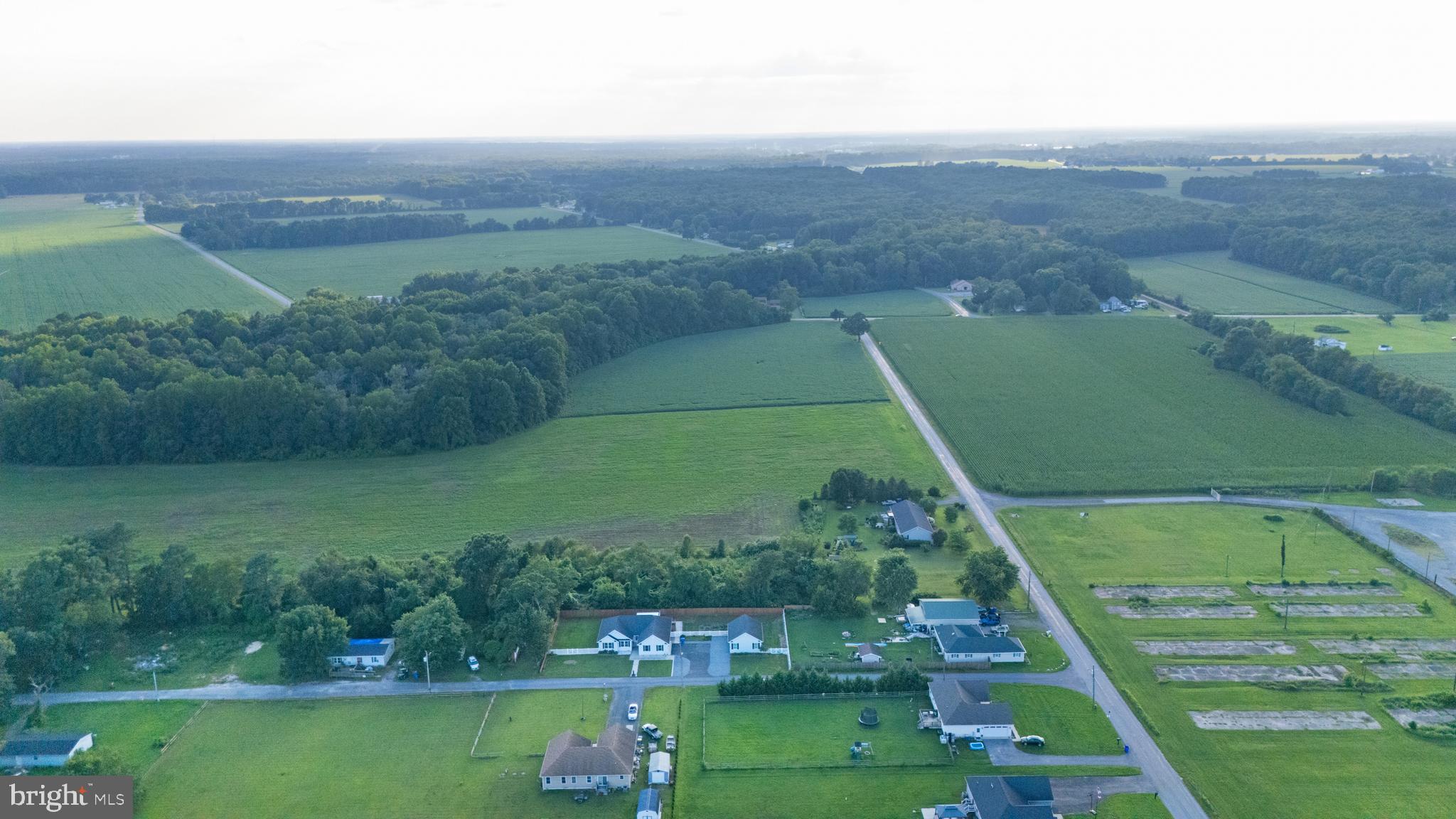 54 Minner Street Houston, DE 19954 - Photo 52 of 55 an aerial view of a golf course with huge green field and large trees