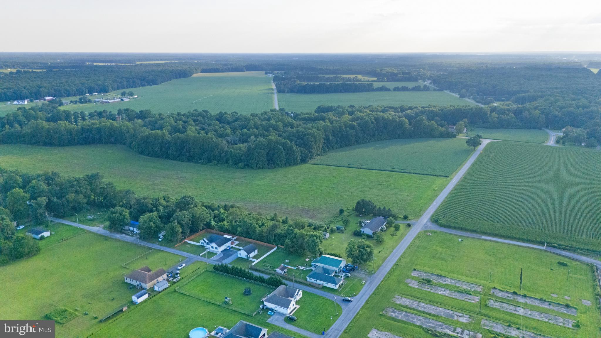 54 Minner Street Houston, DE 19954 - Photo 53 of 55 a view of a lush green field