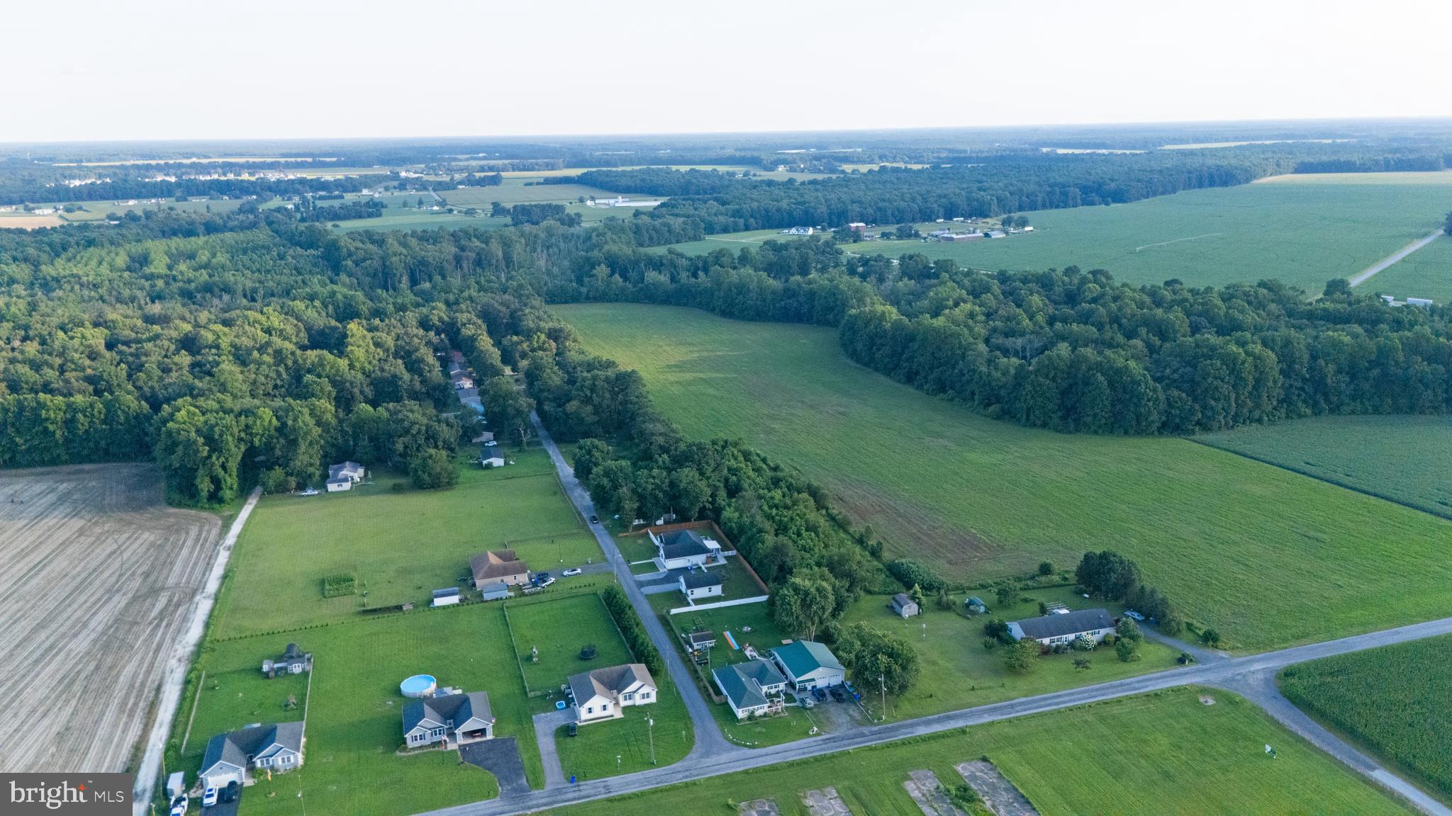 54 Minner Street Houston, DE 19954 - Photo 54 of 55 an aerial view of green landscape with trees houses and mountain view