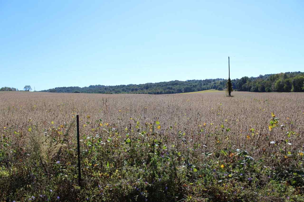 Amber White Road Bowling Green, KY 42101 - Photo 2 of 20 Gallery Image 2