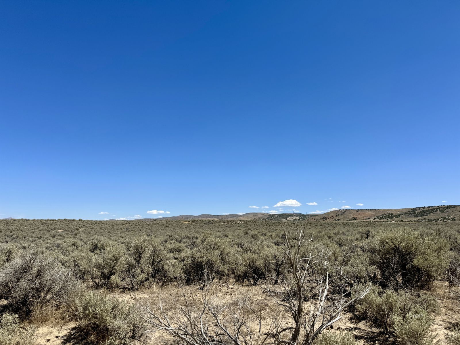 Tbd Tbd Blue Ridge Street Elko, NV 89801 - Photo 3 of 10