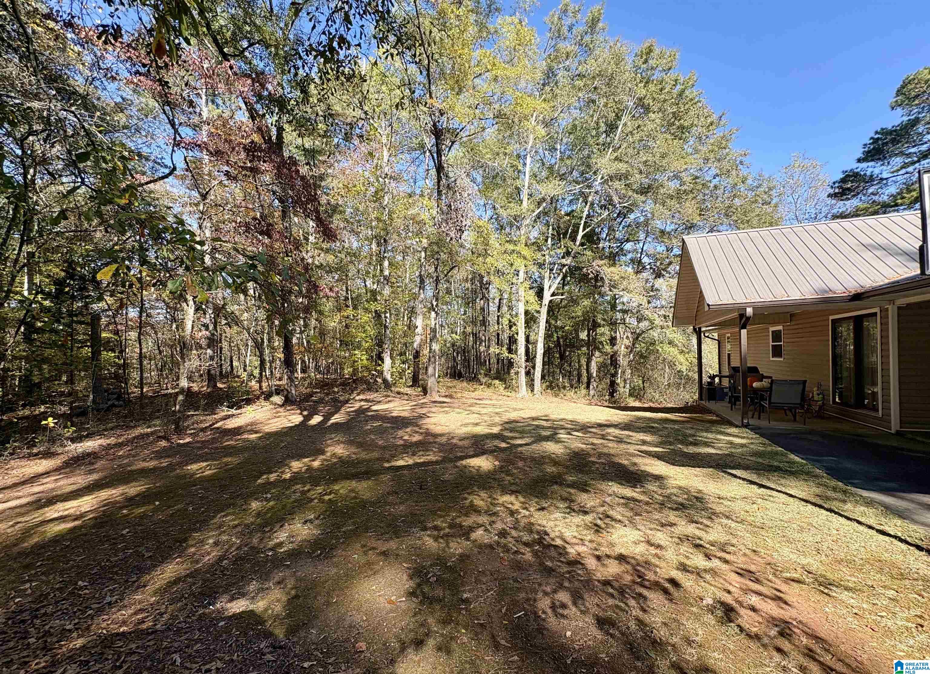 289 Olive Branch Road Ashland, AL 36251 - Photo 7 of 30