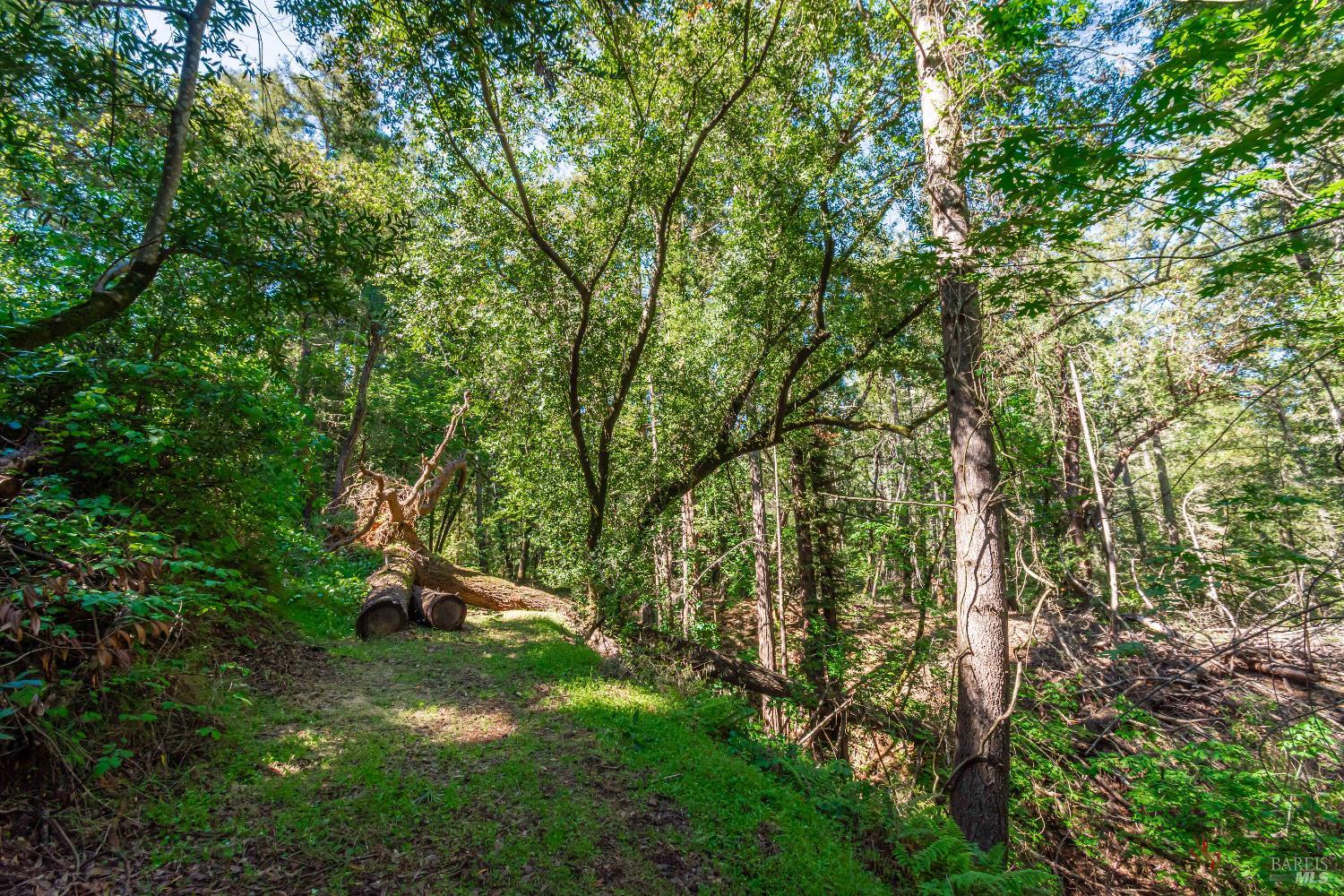 0 Dry Creek Road Napa, CA 94558 - Photo 38 of 98
