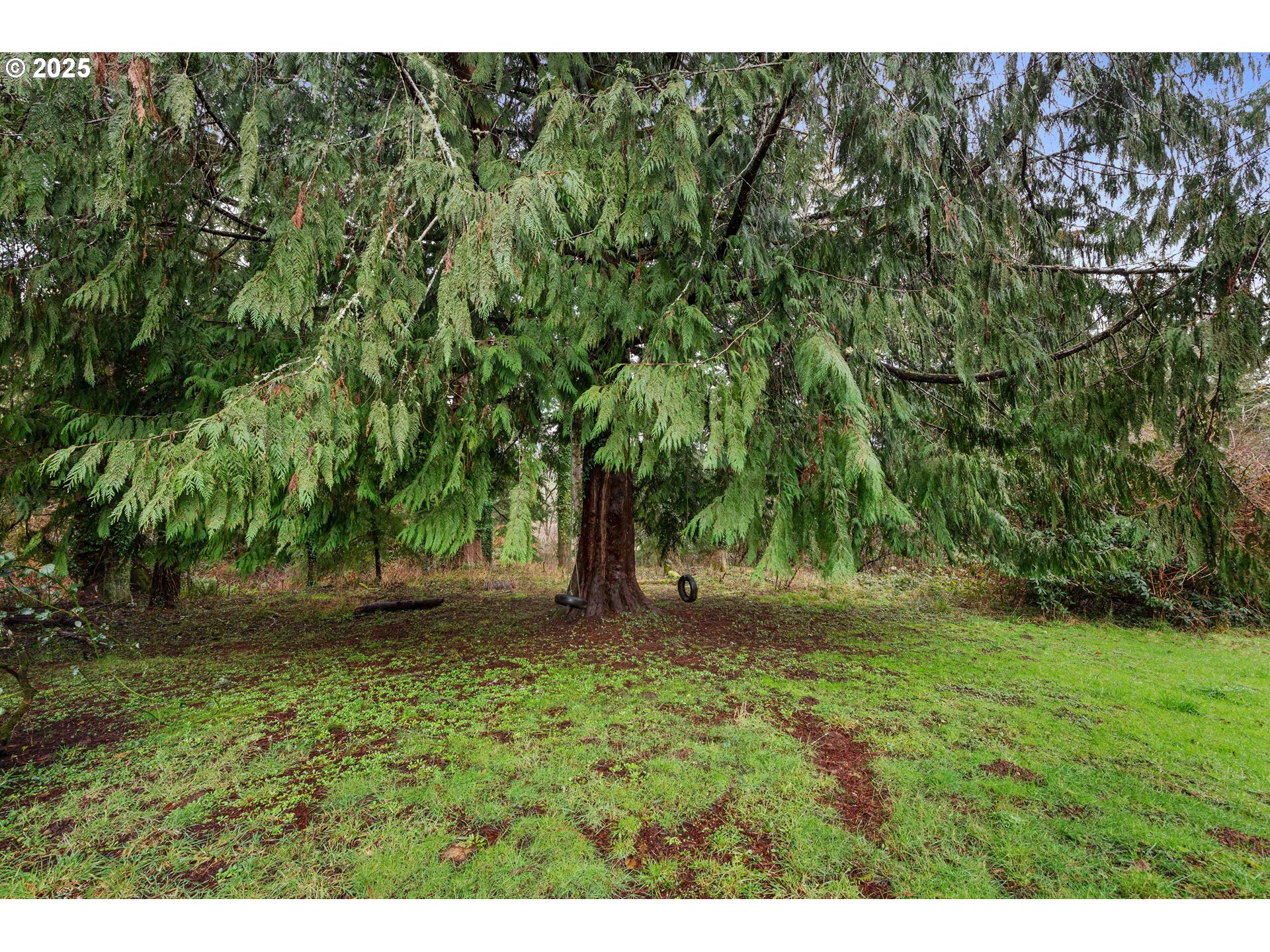 62388 Olive Barber Road Coos Bay, OR 97420 - Photo 28 of 36 Gallery Image 28