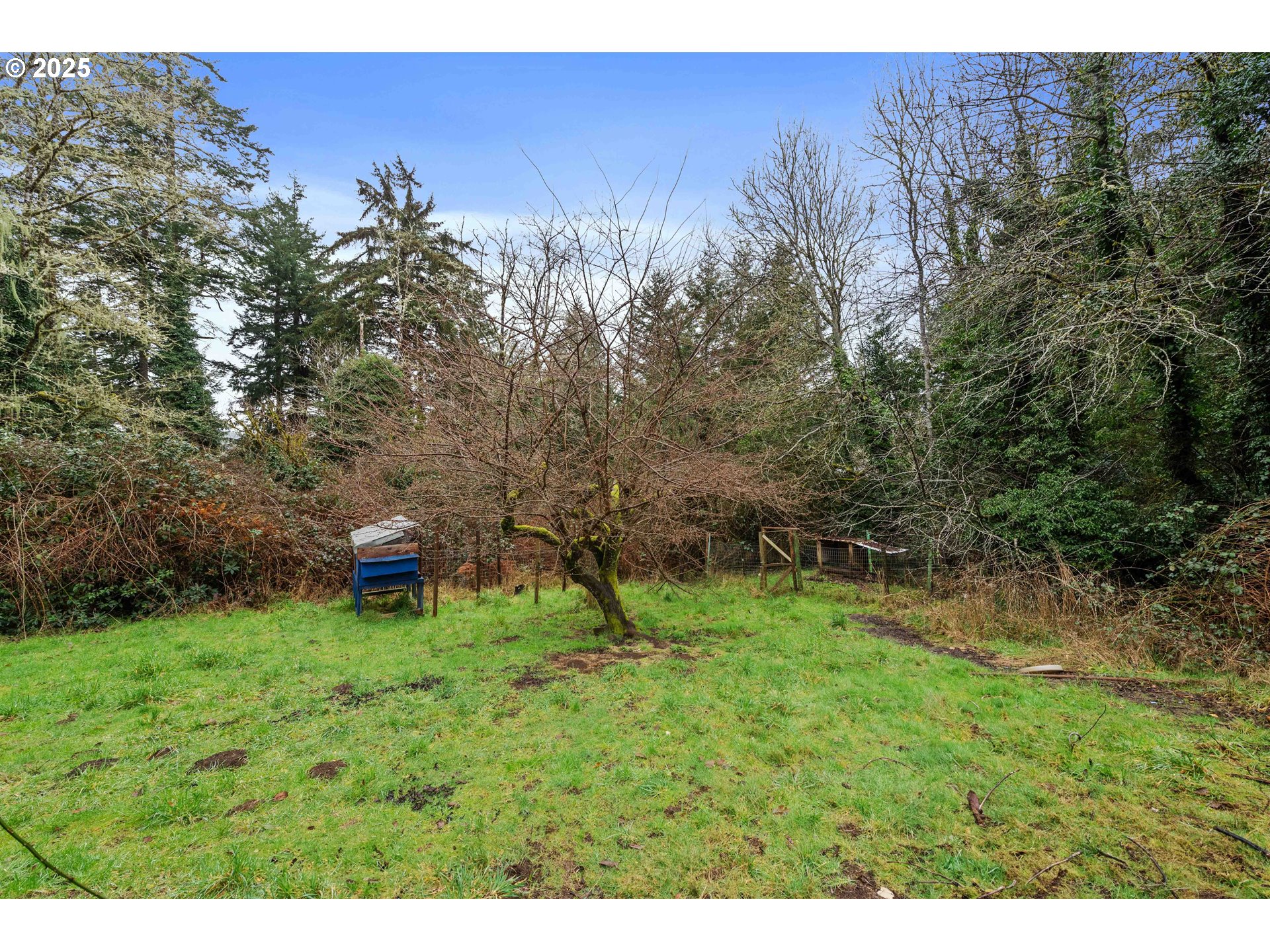 62388 Olive Barber Road Coos Bay, OR 97420 - Photo 29 of 36 Gallery Image 29