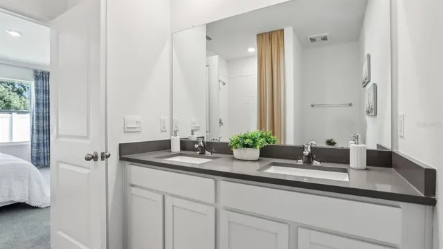 a bathroom with a sink and a mirror