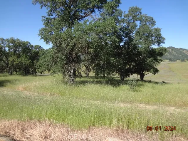 2225 Park Clearlake Ca Clearlake, CA 95422 - Photo 8 of 31 a view of a lake from a yard