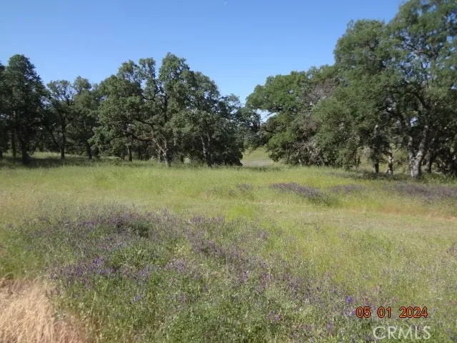 2225 Park Clearlake Ca Clearlake, CA 95422 - Photo 10 of 31 a view of outdoor space and yard